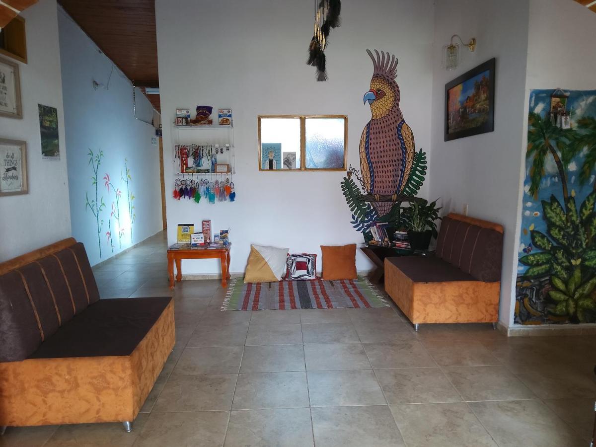 Artesanos Y Turistas Διαμέρισμα Guatapé Εξωτερικό φωτογραφία
